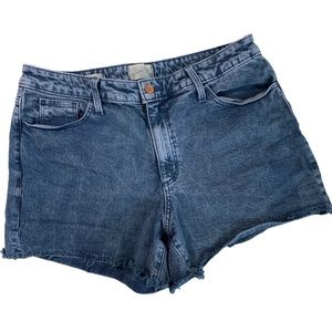 UNIVERSAL THREDS VINTAGE JEAN SHORTS